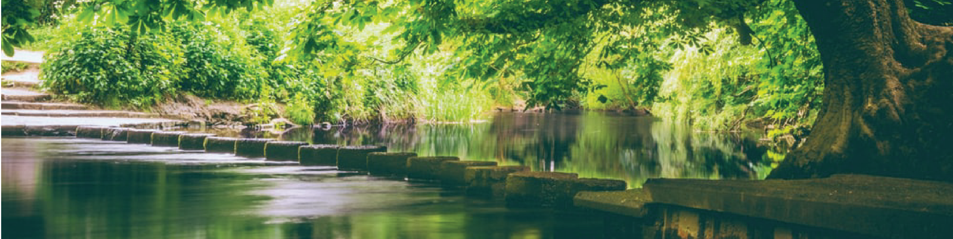 stepping stones