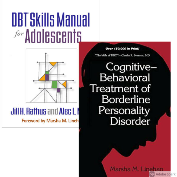 dbt skills book