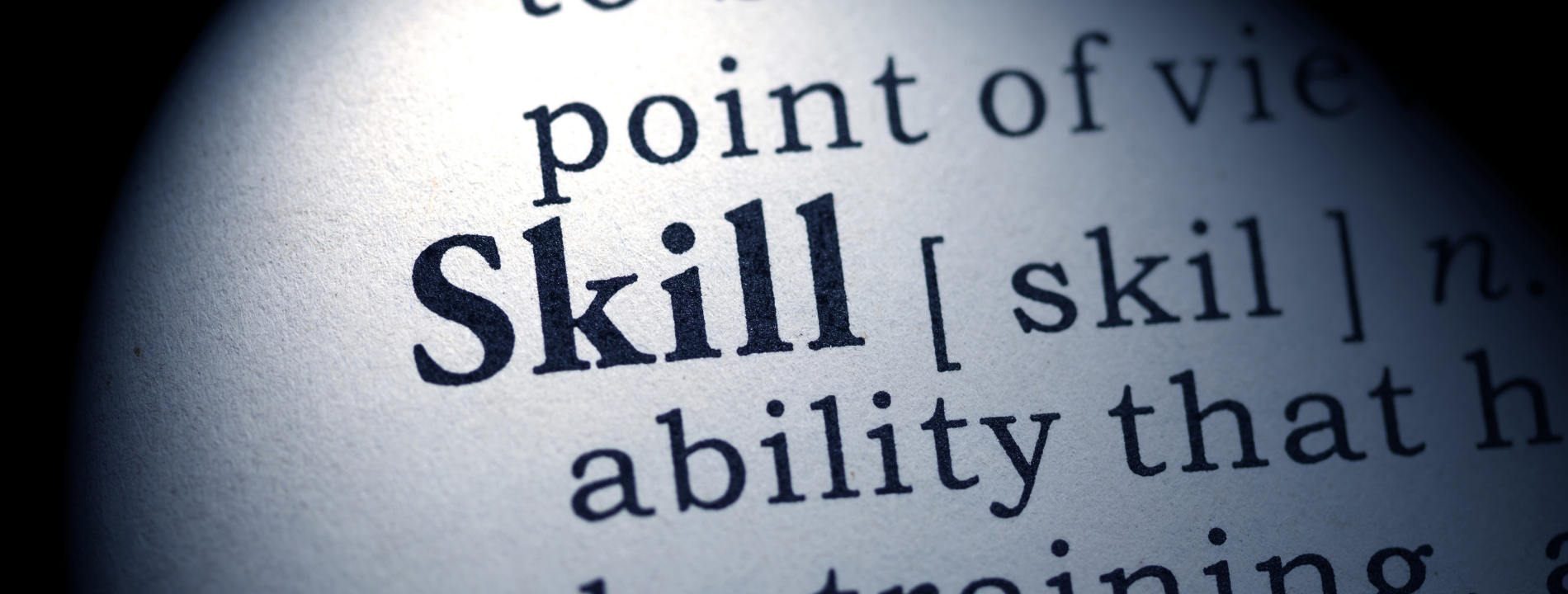 dbt skill text